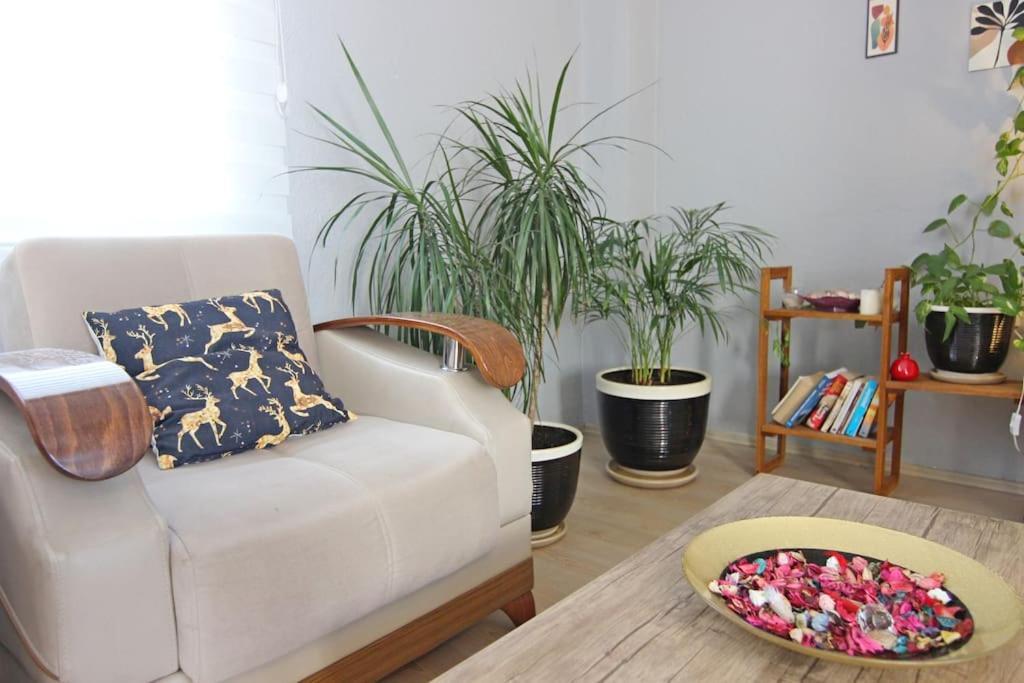 Ozkan Apartment - Fethiye Center Fully Furnished 50Mbps Wifi Netflix Eksteriør bilde